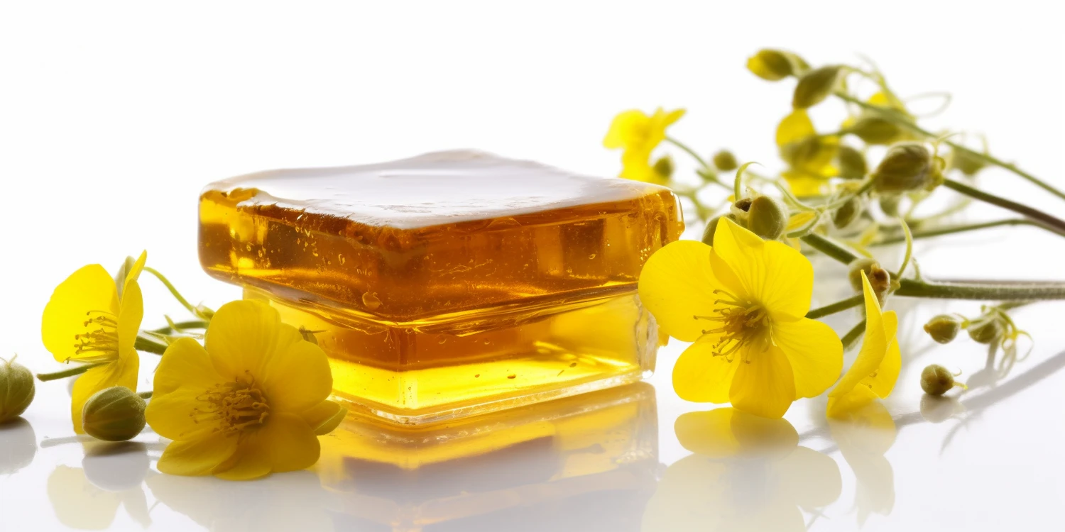 Jak wymieniać matki pszczele?