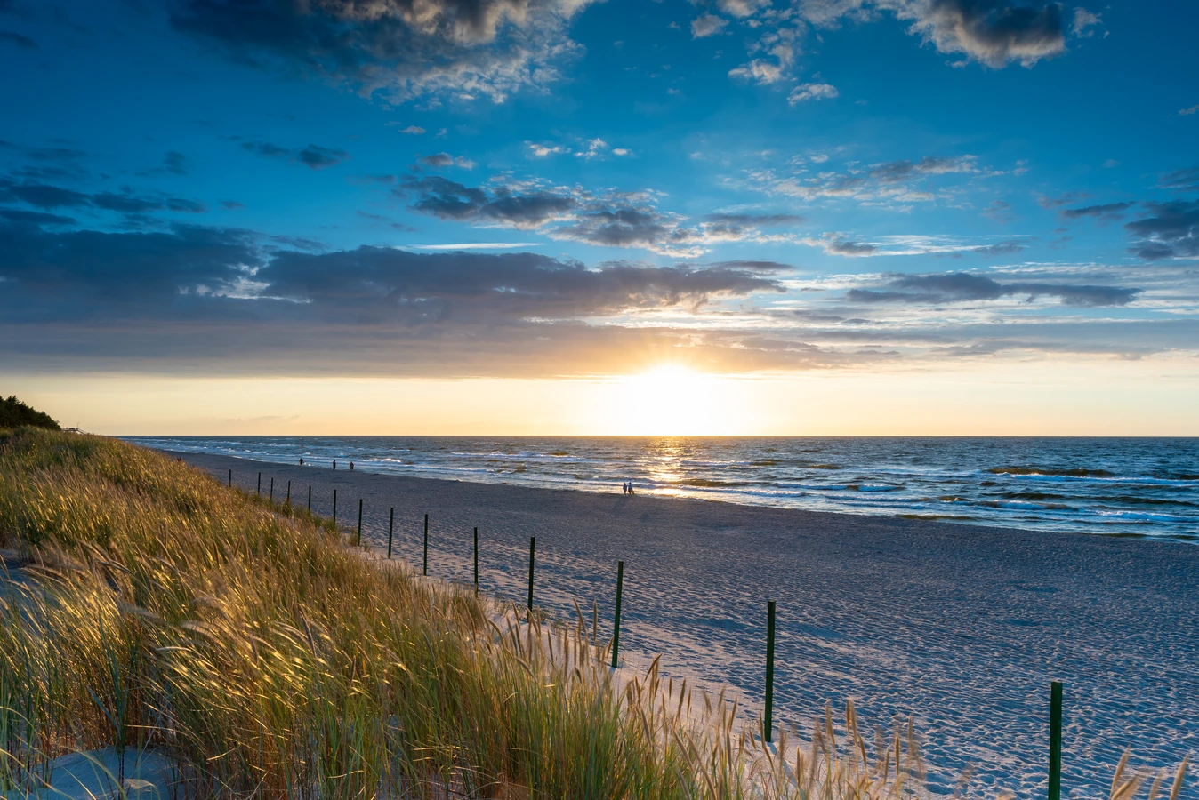 Trawa w rolce Szczecin