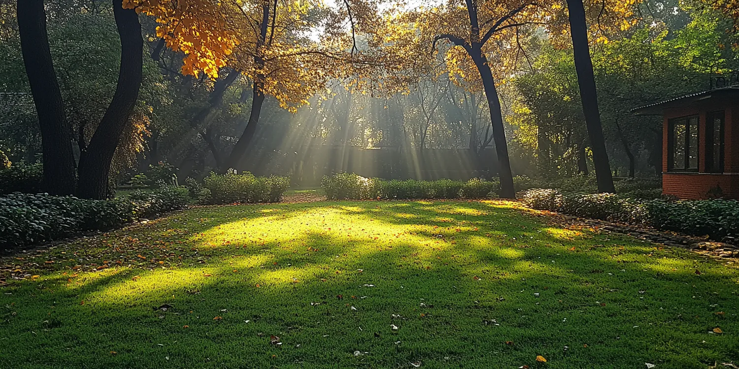 Trawa z rolki kiedy nawozić?
