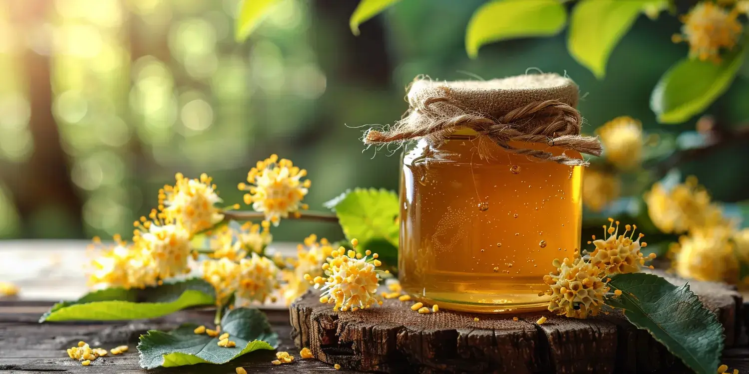 Kto powinien jeść miód rzepakowy